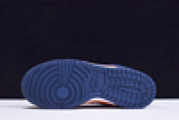 Nike Dunk Low Champ Colors (2020)  CU1727-800