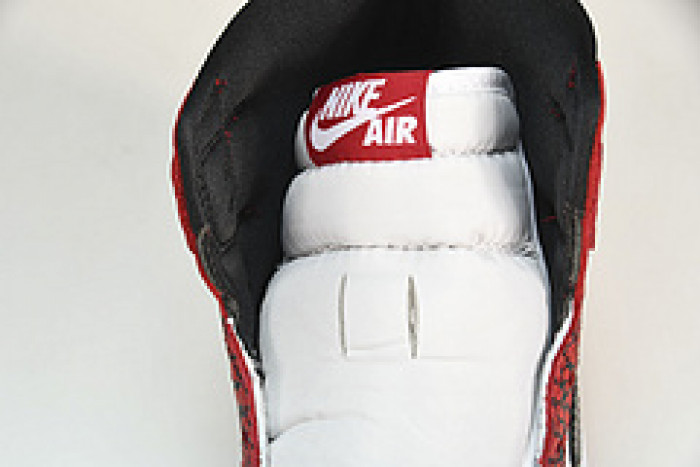 Air Jordan 1 RETRO HIGH OG DZ5485-061