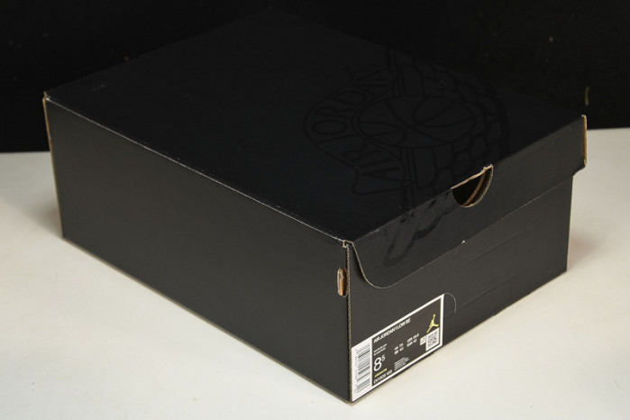 Air Jordan 1 Low “Concord” DV1309-100