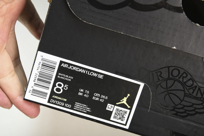 Air Jordan 1 Low “Concord” DV1309-100