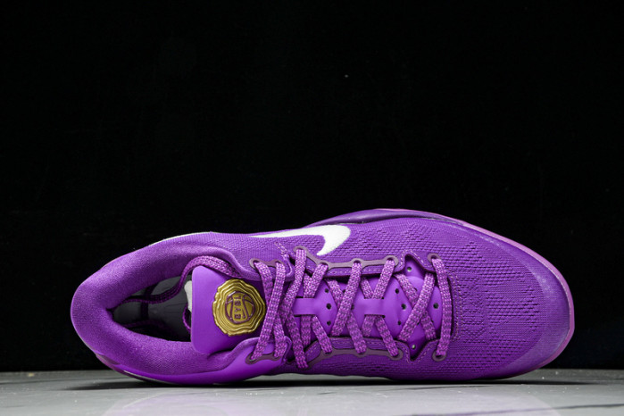 Nike Kobe 8 Protro“Court Purple” HJ7265-500