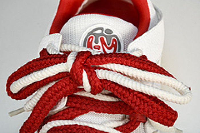 LV SNEAKER LOW FOR-LV26