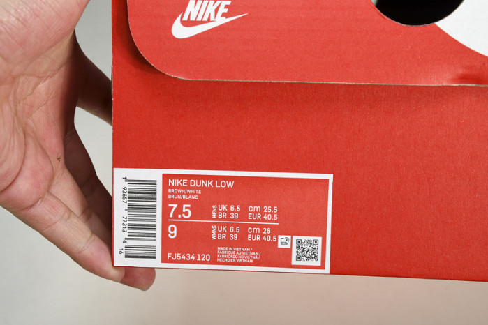 Nike Dunk Low Premium ATMOS  FJ5434-120